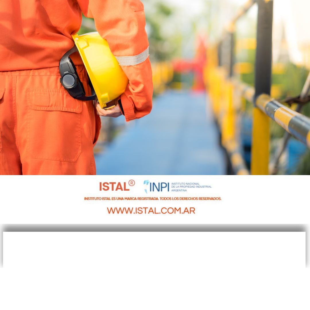 ASISTENTE EN SEGURIDAD E HIGIENE LABORAL - MODULO 1